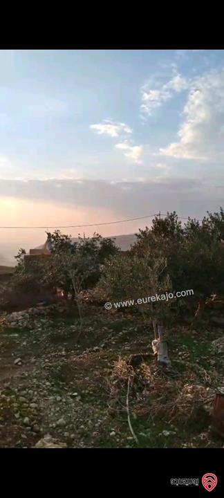 أرض مساحة 546م  للبيع في عمان - ناعور