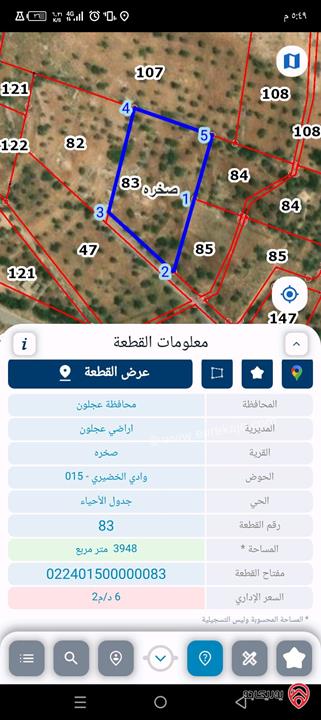 قطعة ارض مساحة 3 دونم و 950م للبيع في عجلون/ صخره يوجد بئر ماء/ مزروعة زيتون 