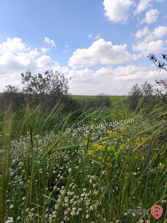 أرض مساحة 3 دونم و 400م للبيع في عمان - حوارة
