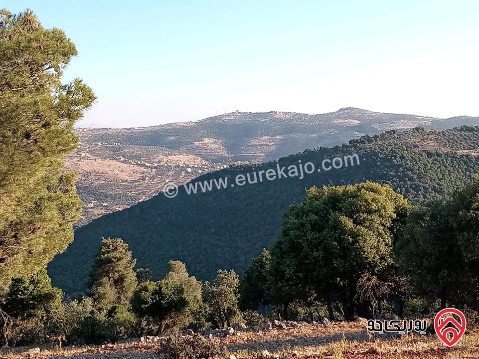 أرض مميزة مساحة 2 دونم للبيع في محافظة عجلون منطقة عنجرة / خربة الحنيش الأثرية 
