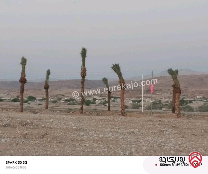 أرض مساحة 500م للبيع في البحر الميت - السويمة 