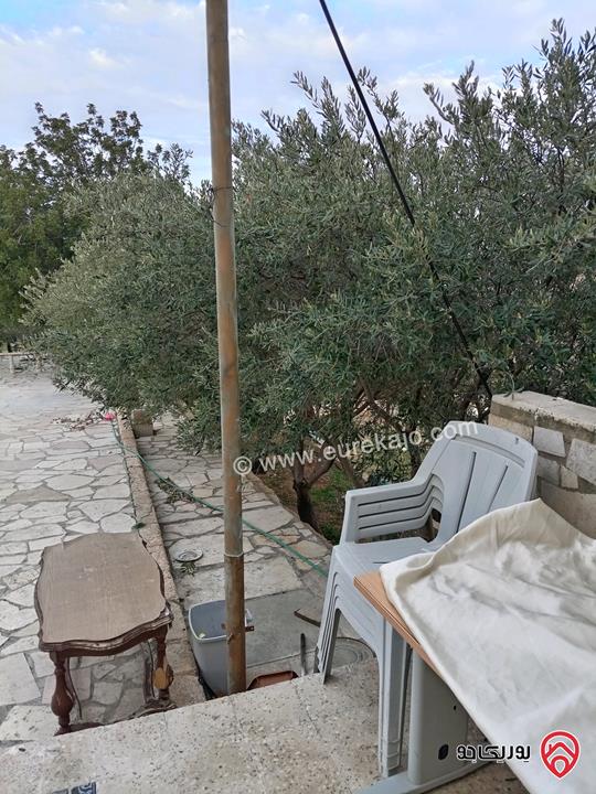 قطعة أرض مساحة 10 دونم و 704م للبيع في الزرقاء - بيرين