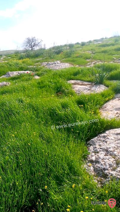 أرض مساحة 5 دونم و 760م للبيع في الزرقاء - صروت تبعد عن عمان 20 دقيقة