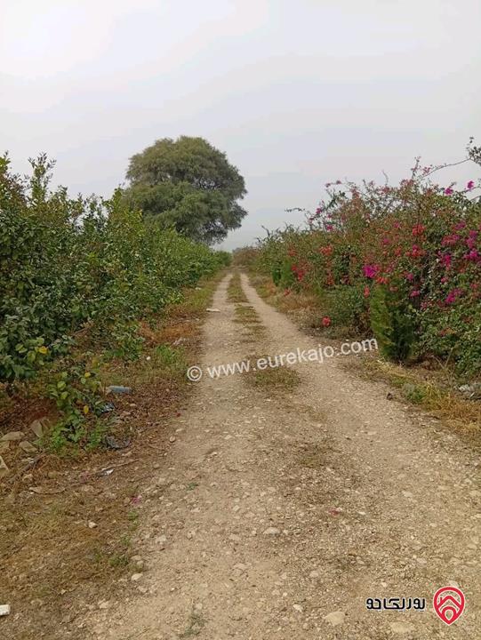 قطعة ارض مساحة 3 دونم و 400م للبيع في اربد - الأغوار الشمالية 