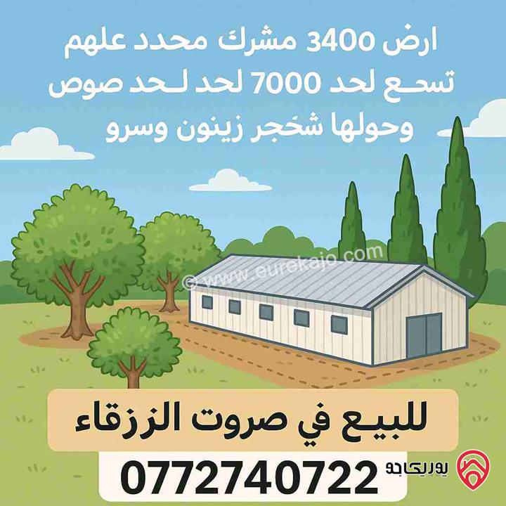 ارض مشترك محدد مساحة 3 دونم و 400م للبيع بسعر مغري في الزرقاء - صروت