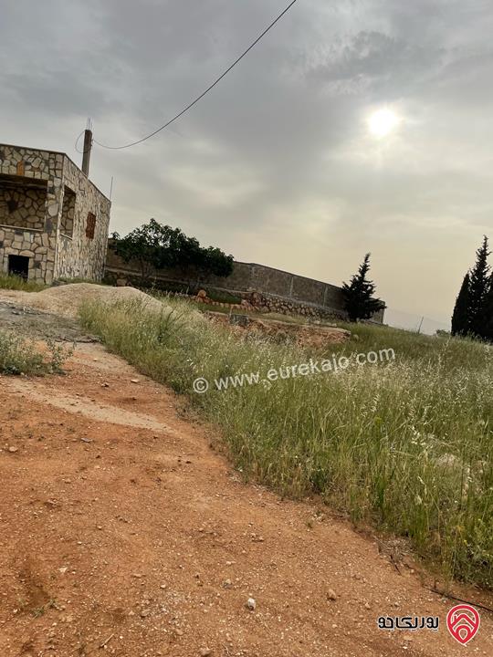 قطعة أرض مميزة مساحة 5 دونم للبيع في عمان - ناعور المشقر