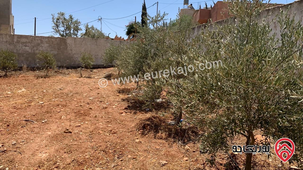 مزرعة مساحة الأرض 2 دونم للبيع بدون منزل في جرش حي الجبارات