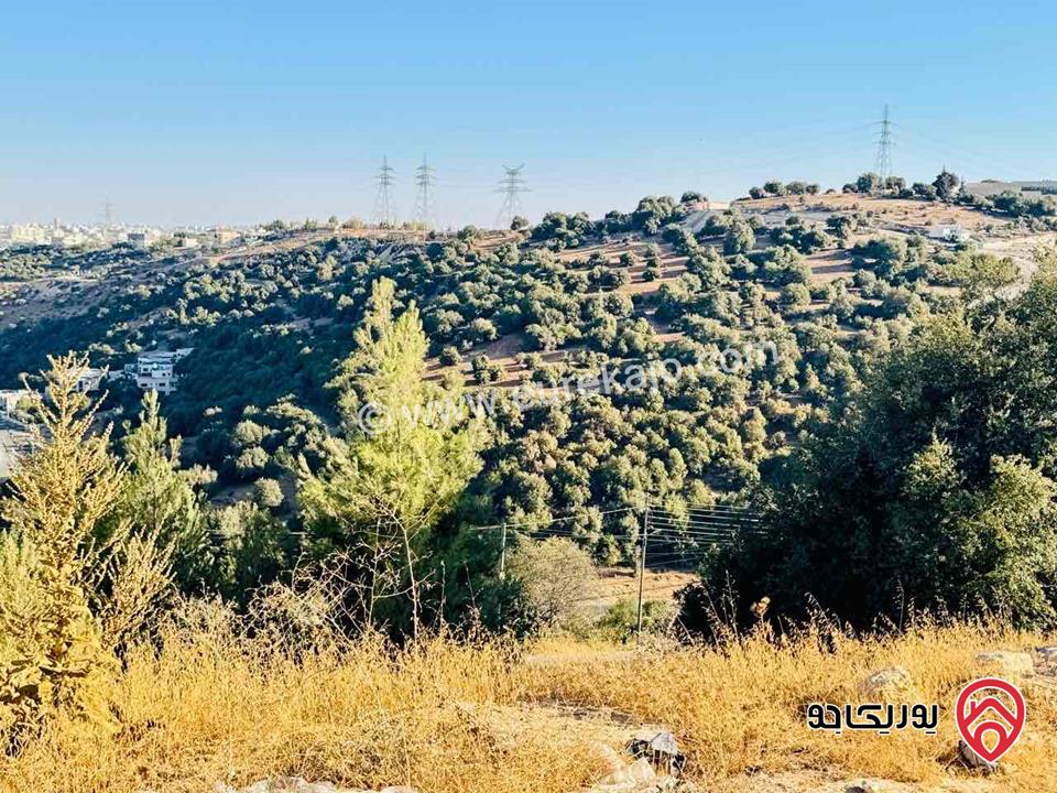 ارض مساحة 4 دونم للبيع في عمان - دابوق