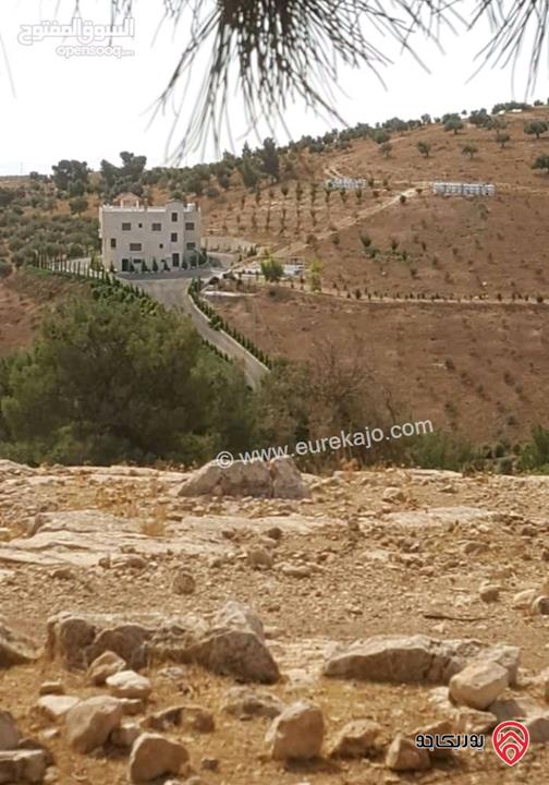 ارض مساحة 30 دونم و 478م للبيع في المفرق - الدجنية