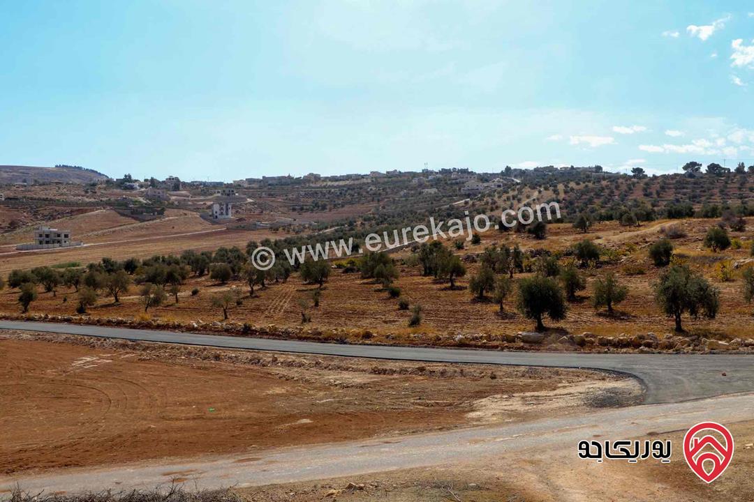 قطع أراضي مساحة 500م للبيع في الزرقاء - الكمشة 