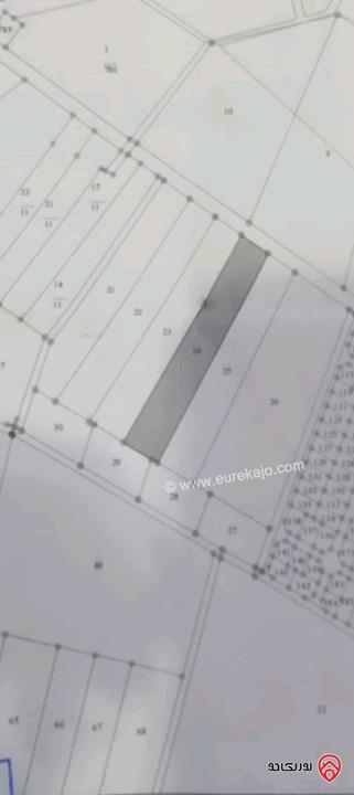 قطعة ارض منبسطه مساحة 16 دونم و 347م للبيع في المفرق ام الجمال