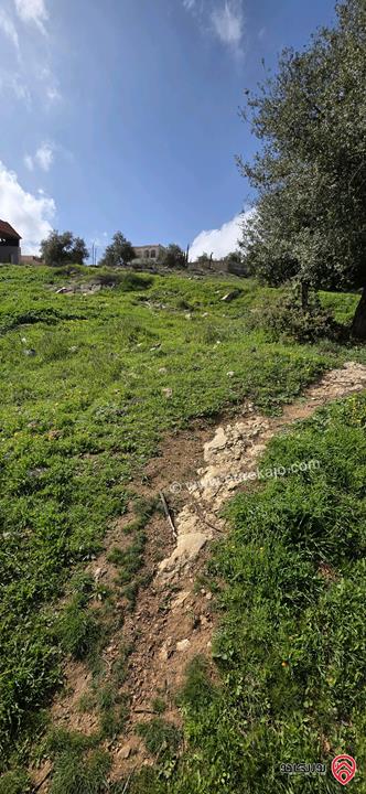 قطعة أرض مساحة 939م للبيع من أراضي غرب عمان - بلال