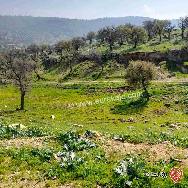قطعة أرض مساحة 3 دونم و 500م للبيع في الزرقاء - العالوك