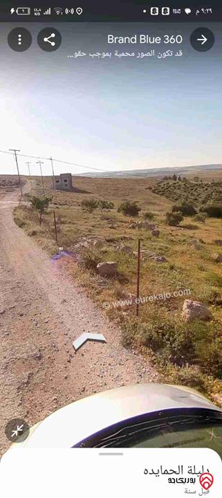 قطعة ارض مساحة 6 دونم مادبا - دليلة الحمايدة