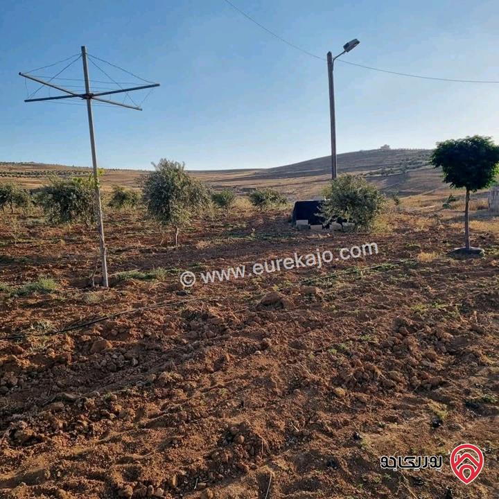 أرض زراعية مساحة 25 دونم للبيع في الكرك - فقوع