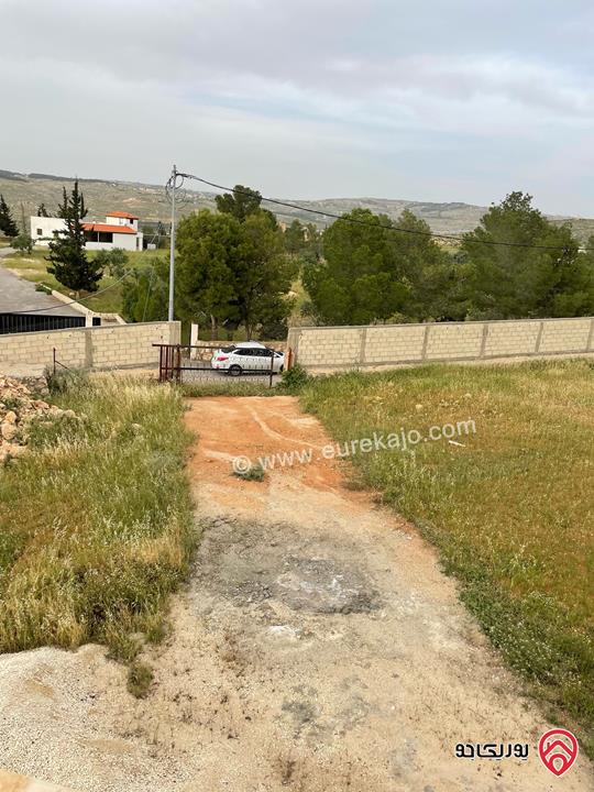 قطعة أرض مميزة مساحة 5 دونم للبيع في عمان - ناعور المشقر