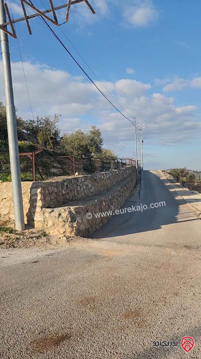 ارض مميزة مساحة 600م للبيع من أراضي شمال عمان - ام الدنانير قرب مطعم جبل 