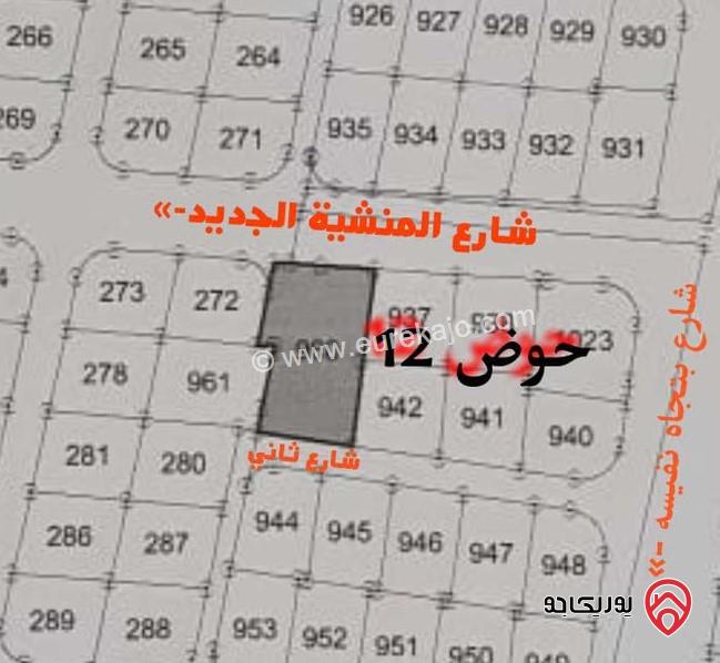 ارض مساحة 1 دونم و 111م للبيع في المفرق