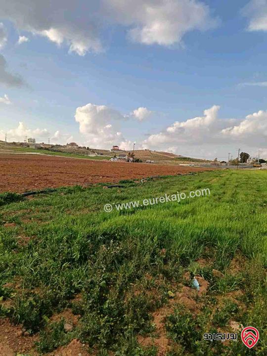 قطعة أرض مساحة 3 دونم و 400م للبيع في المفرق - الزيتونة