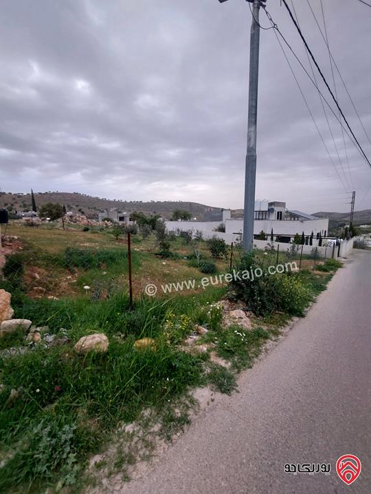 أرض مساحة 1009م للبيع في الزرقاء - بيرين ام البيار 