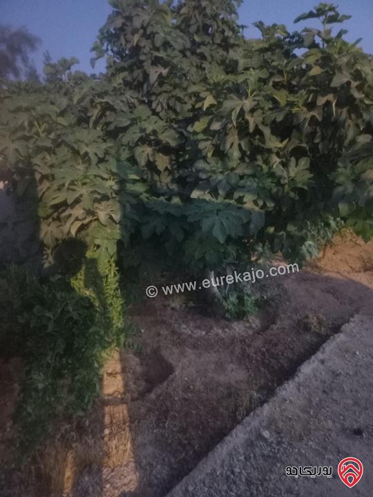 منزل مستقل مساحة 180م على أرض 480م للبيع في المفرق - الخالدية المبروكة 