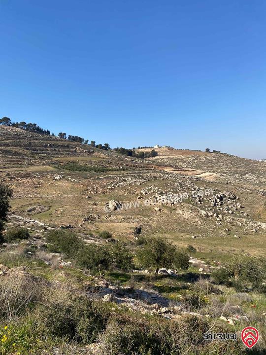 قطعة ارض المساحة المعروضة للبيع 10045م في عمان - ناعور المشقر