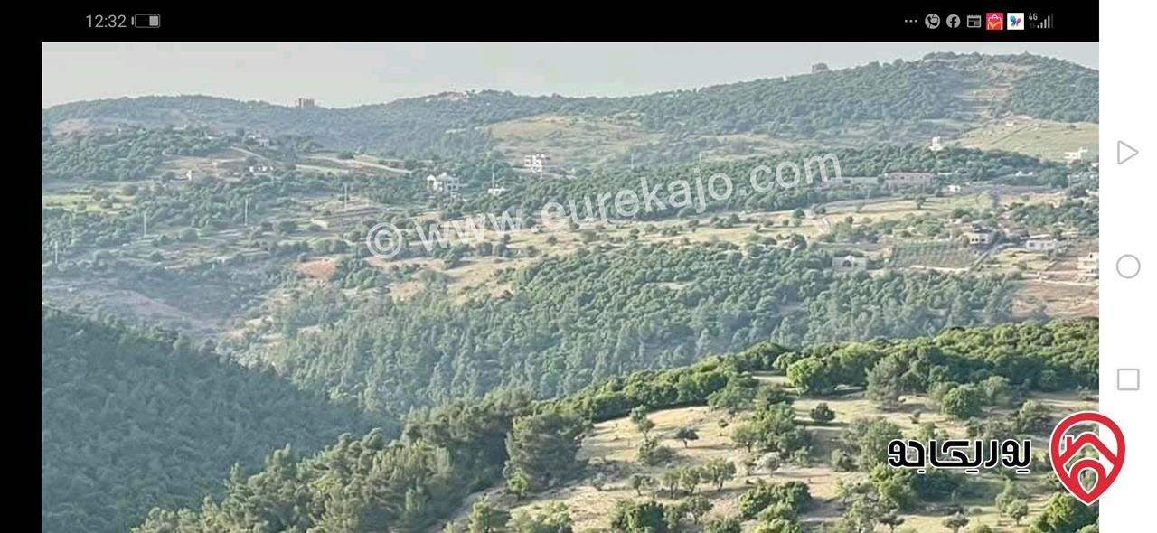 قطعة ارض مساحة 36 دونم للبيع في عجلون