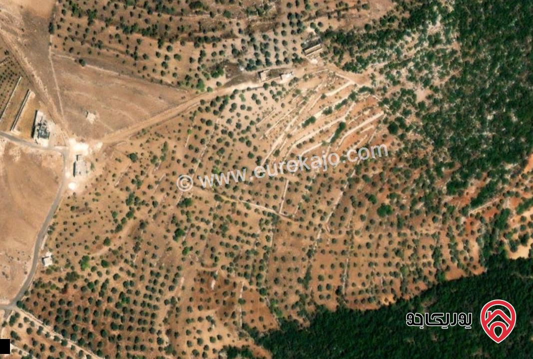 ارض مساحة 4 دونم و 736م للبيع من أراضي عجلون حوض الشكارة