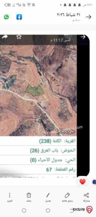 ارض مساحة 14 دونم للبيع في جرش - عمامة 