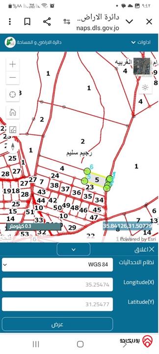 قطعة ارض ميري مساحة 7 دونم للبيع في مادبا - ذيبان 