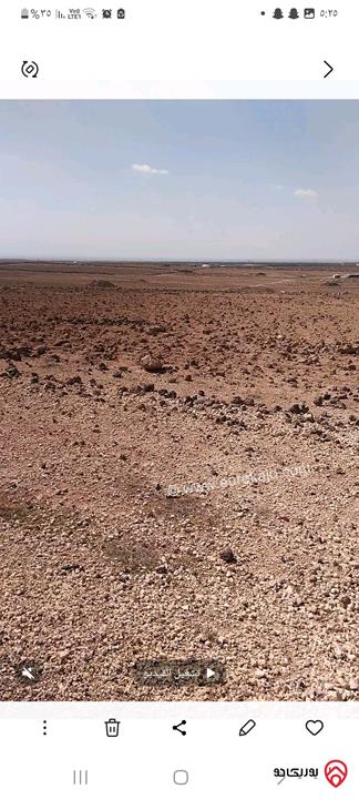 قطعة ارض مساحة 60 دونم للبيع في المفرق البادية الشمالية الشرقية 