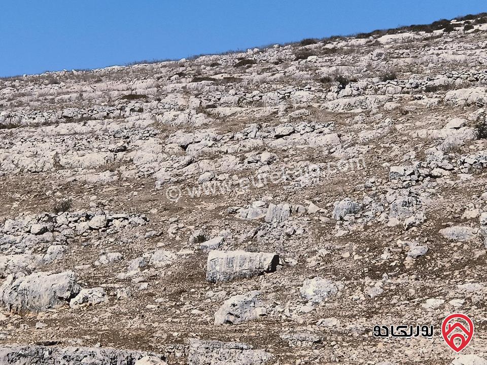 قطعة أرض مساحة 6 دونم و 172م للبيع في إربد لواء المزار الشمالي قرية صمد