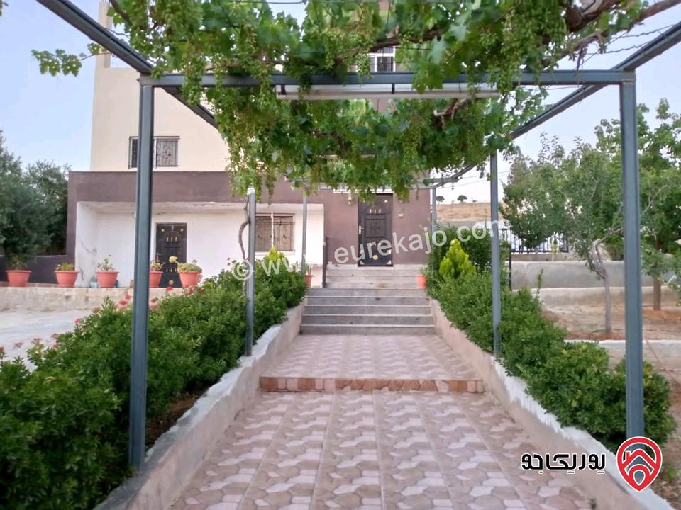 مزرعة مساحة الأرض 618م والبناء 100م للبيع في المفرق