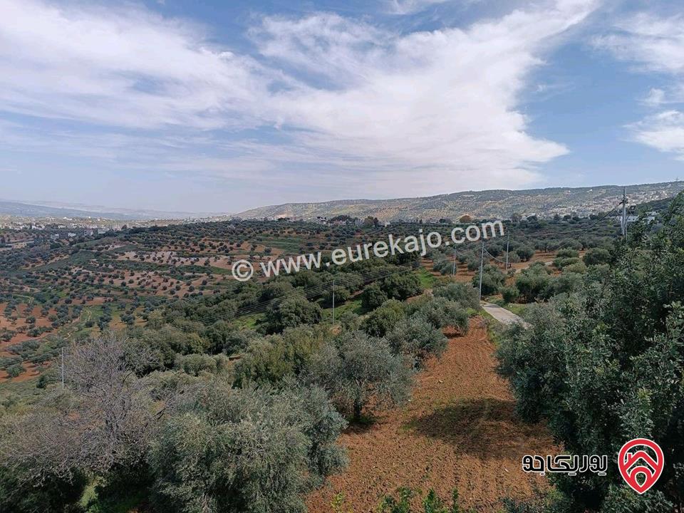 مزرعة زيتون مساحة الأرض 8 دونم و 588م و البناء مساحة 100م للبيع في السلط