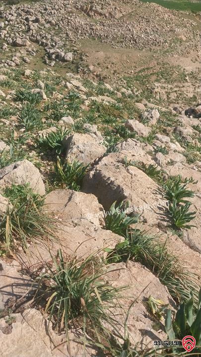 أرض مساحة 5 دونم و 322م للبيع في عمان - عراق الامير 