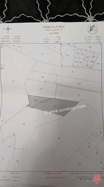 أرض مزروعة زيتون مساحة 13 دونم للبيع في مادبا - قرية الفيصلية 
