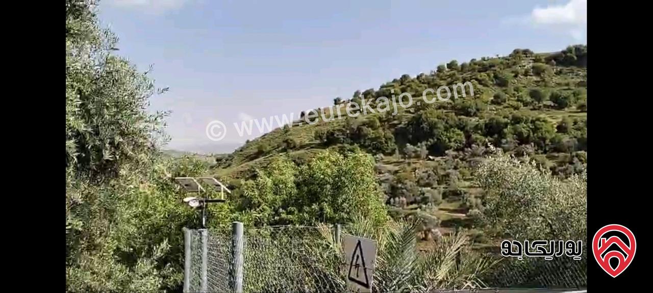 مزرعة مع نبعة مساحة 10 دونم و 800م للبيع في جرش - الكتة