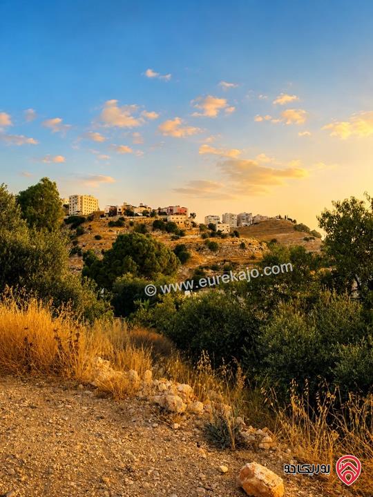 قطعة ارض مساحة 647م للبيع في عمان - بدر الجديدة