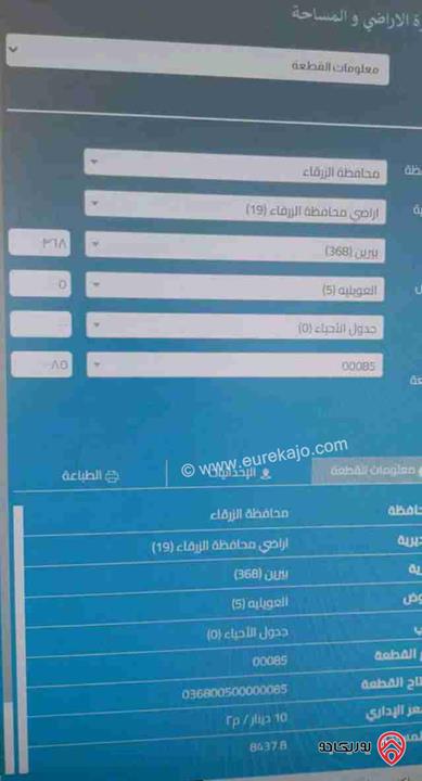 قطعة ارض مساحة 9 دونم للبيع من أراضي محافظة الزرقاء - بيرين العويليه