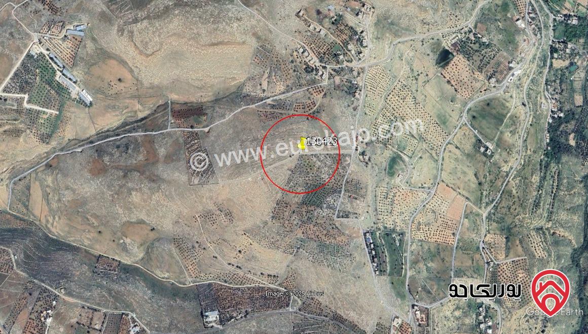 أرض مساحة 16000م للبيع في عمان - عراق الأمير