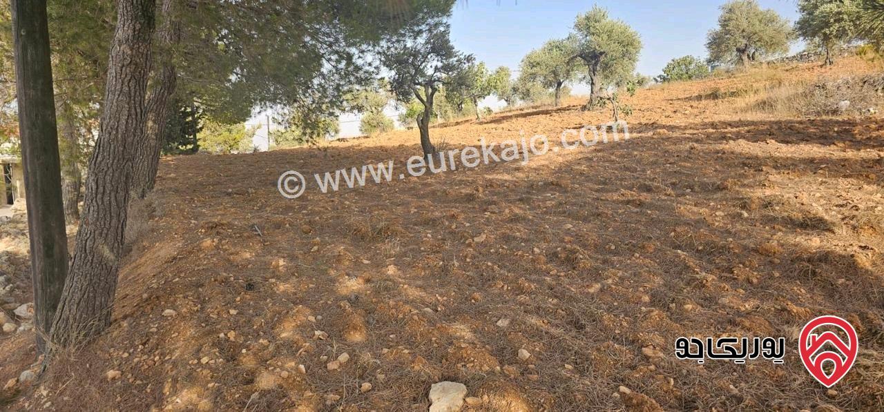 قطعة أرض ريفية مساحة 7 دونم للبيع في في جرش سوف حوض بيدر الحمص 