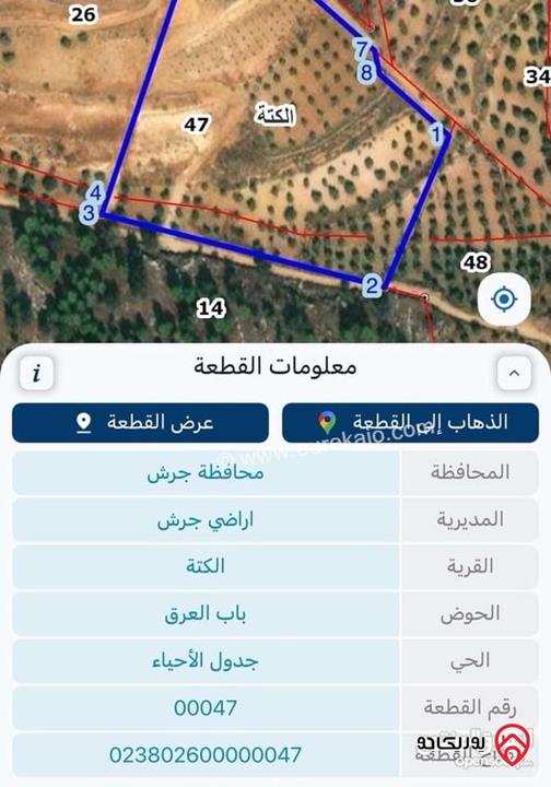 ارض زيتون وحمضيات مساحة 13 دونم للبيع في جرش الكته فوق مطعم نوارة السياحي 