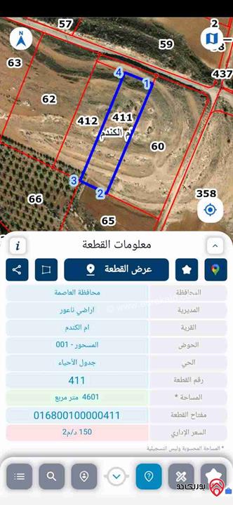 أرض مساحة 4 دونم و 600م للبيع في عمان - أم الكندم 