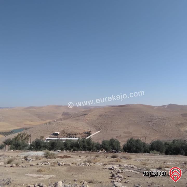 قطعة ارض مساحة 3 دونم و 500م تبعد عن شفا بدران 40د للبيع في المفرق - بلعما