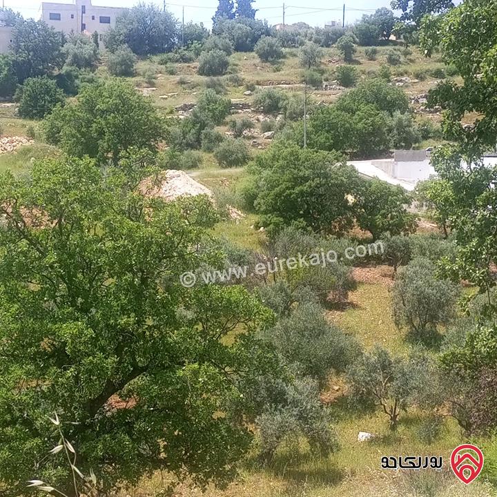 قطع أراضي من 700م - 2600م للبيع في عمان - بدر الجديده