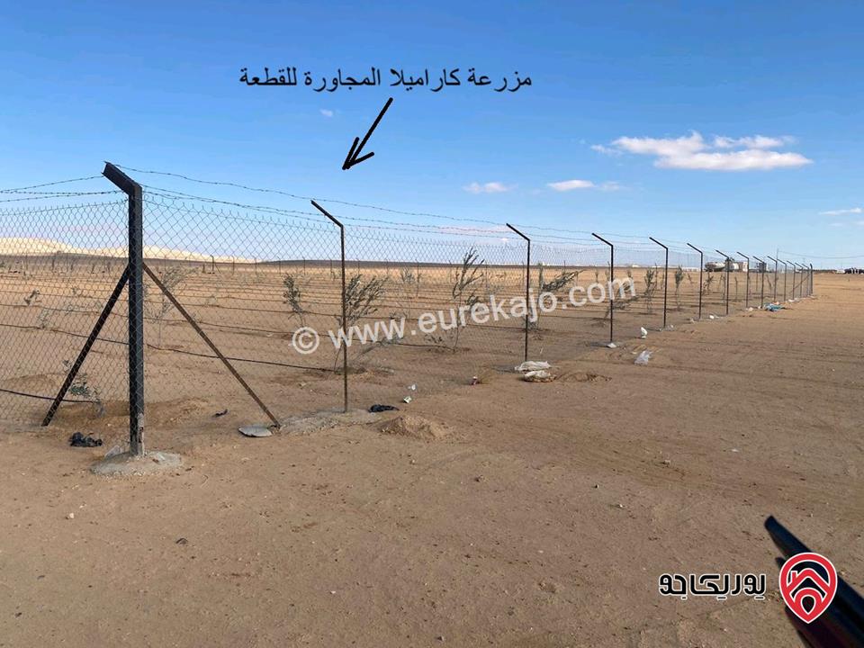 قطعة أرض مساحة 3 دونم و 600م للبيع في عمان - خلف المطار ملاصق لمشروع كومباوند المطار بجانب مزارع كابيتال
