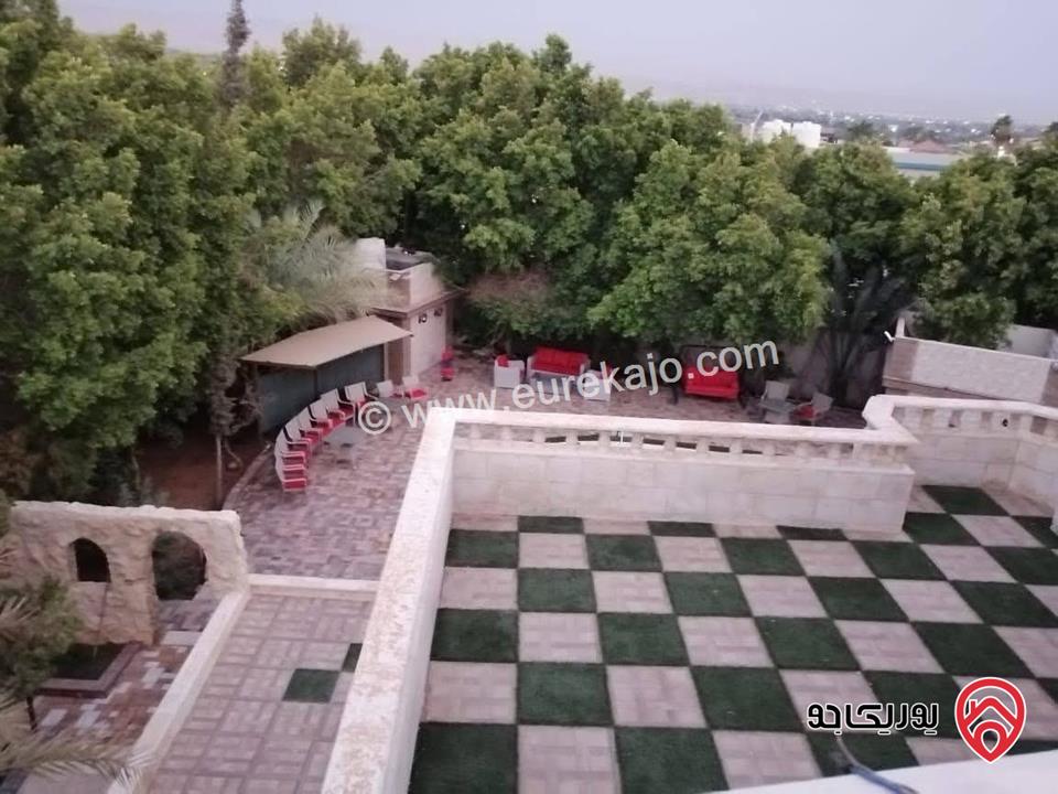 مزرعة للبيع في البحر الميت مساحة 4 دنم فرصة ذهبية للاستثمار والرفاهية