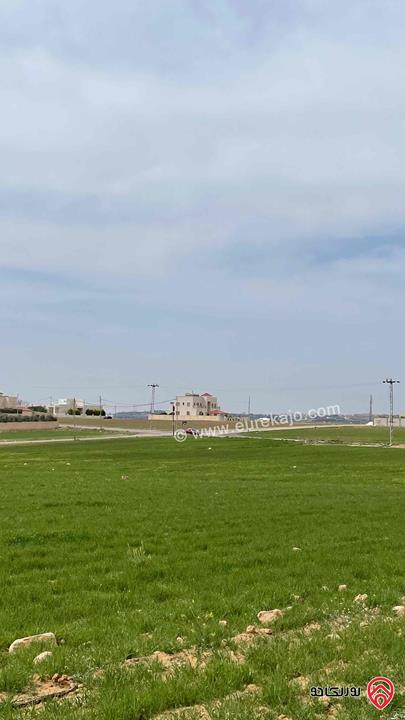 أرض مساحة 4 دونم سكن ريفي احكام خاصة للبيع في عمان - منجا تبعد 700م عن شارع مادبا عمان