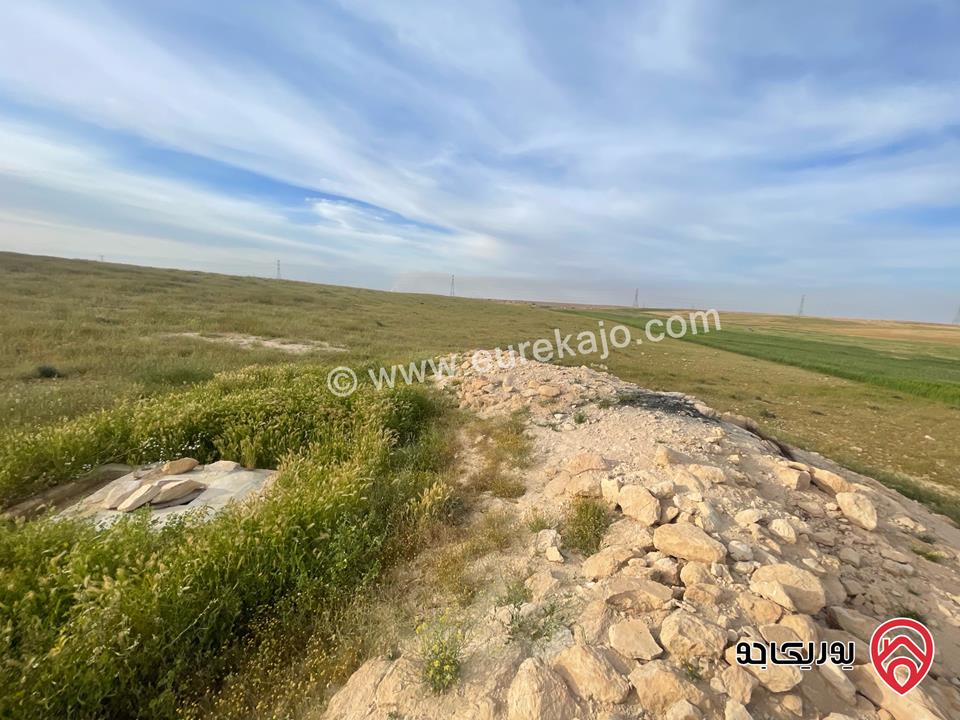 أرض مساحة 21 دونم و 400م للبيع من أراضي شرق عمان - الماضونة قرب جمرك عمان الجديد 