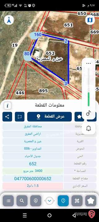 مزرعة مساحة الأرض 3 دونم و 500م مع منزل مساحة 64م للبيع في المفرق - بلعما